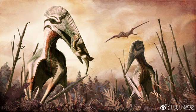 Hatzegopteryx - Loài khủng long bạo chúa trên không - Ảnh 3.