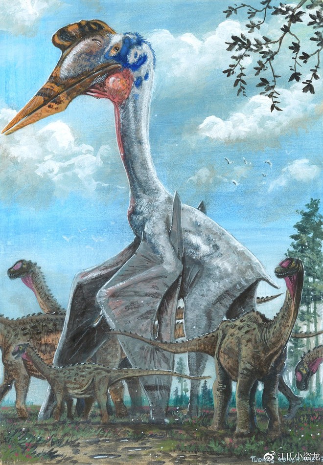 Hatzegopteryx - Loài khủng long bạo chúa trên không - Ảnh 7.