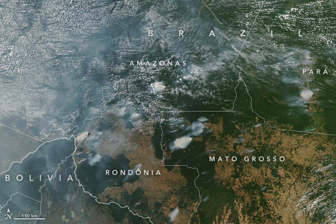 Rừng Amazon cháy lớn, khói phủ đen trời ở thành phố cách cả ngàn kilomet, từ trên quỹ đạo cũng nhìn được khói - Ảnh 1.