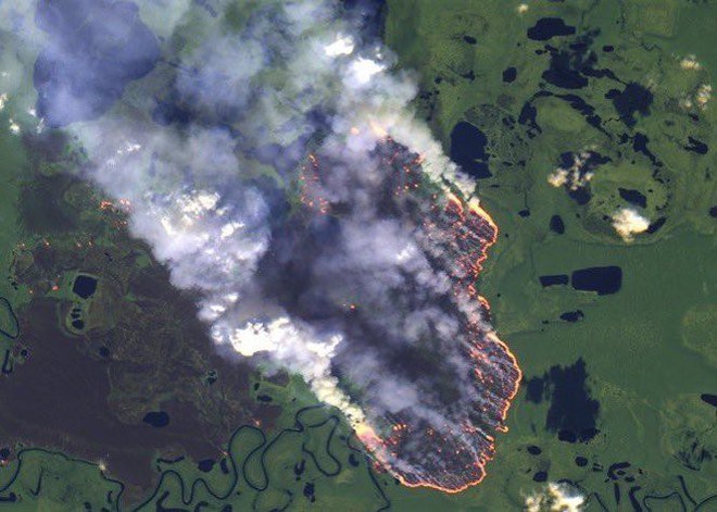 Tìm đám cháy rừng Amazon trên Google, kết quả cho ra toàn... máy tính bảng - Ảnh 15.