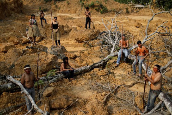 Giải thích trọn vẹn: Chuyện gì đang xảy đến với rừng già Amazon và bạn làm được gì để cứu lấy nó? - Ảnh 17.