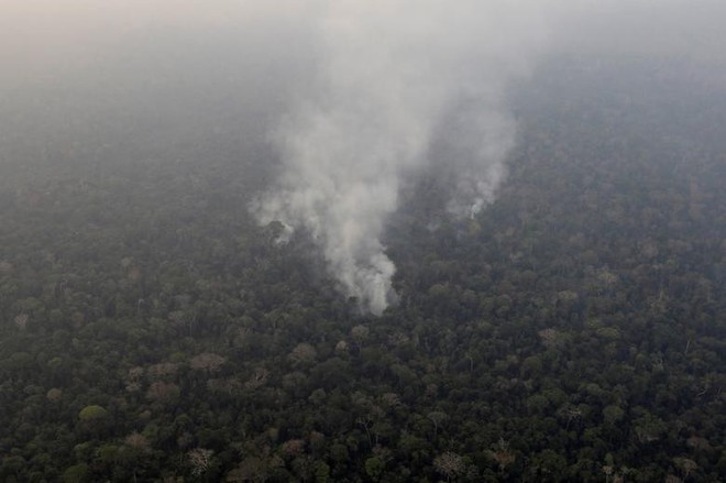 Giải thích trọn vẹn: Chuyện gì đang xảy đến với rừng già Amazon và bạn làm được gì để cứu lấy nó? - Ảnh 3.