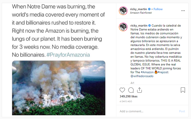 Hàng loạt sao cầu nguyện cho rừng Amazon, nhưng lại share nhầm ảnh đám cháy ở chỗ khác, kể cả Ronaldo, Djokovic hay Madonna - Ảnh 9.