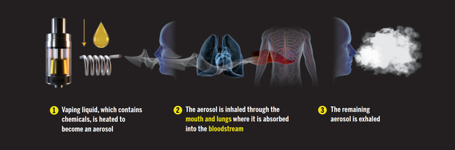 Chỉ một lần thử hút thuốc lá điện tử cũng làm biến đổi mạch máu và hệ thống tuần hoàn của bạn - Ảnh 2.