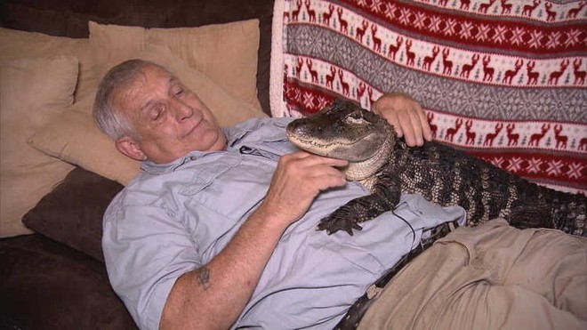 Đây là Wally - chú cá sấu chuyên chữa trầm cảm cho người già - Ảnh 1.