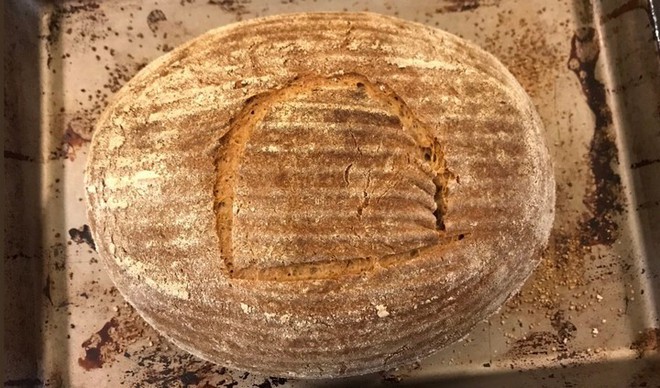 Tìm được loại men ủ hơn 4500 năm, nhà khoa học thử chế biến và thành công với món bánh mì nướng thơm ngon lạ lùng - Ảnh 1.