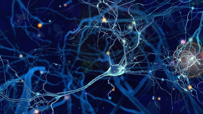 Bạn có thể nâng cấp trí nhớ của mình bằng cách cấy một con chip vào não bộ - Ảnh 2.