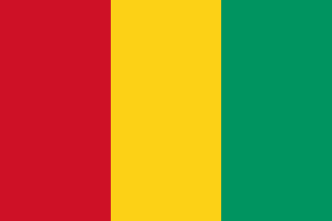 Elon Musk vừa phát hiện ra cờ của Chad và Romania suýt giống nhau, thực tế còn một loạt nước khác cũng như vậy! - Ảnh 3.