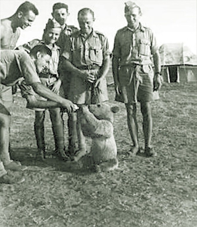 Wojtek: Chú gấu nghiện bia được lấy làm biểu tượng trên huy hiệu của lực lượng pháo binh Ba Lan - Ảnh 2.