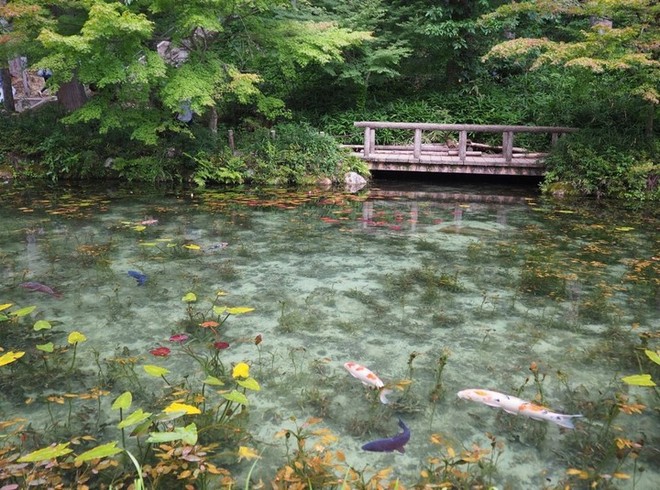Nếu đến Nhật Bản, đừng quên ghé thăm hồ nước trong vắt, đẹp như bức tranh thủy mặc này - Ảnh 6.
