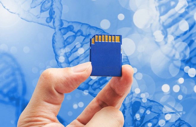 Với việc 1 gram ADN lưu trữ được tới 10 triệu gigabyte dữ liệu, các nhà khoa học dự định sử dụng ADN thay thế cho các máy chủ - Ảnh 1.