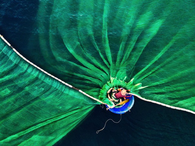 Cùng xem 30 tác phẩm tuyệt đẹp tại 1 trong những cuộc thi nhiếp ảnh thiên nhiên lớn nhất thế giới, người Việt Nam xuất sắc giành giải nhất hẳn hoi - Ảnh 7.
