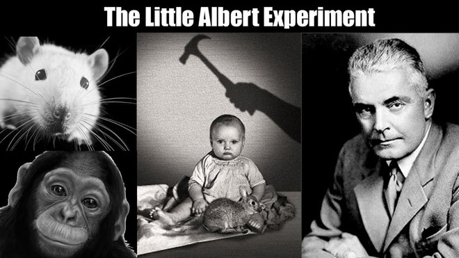 Albert bé nhỏ - một trong những thí nghiệm khủng khiếp nhất trong lịch sử - Ảnh 4.