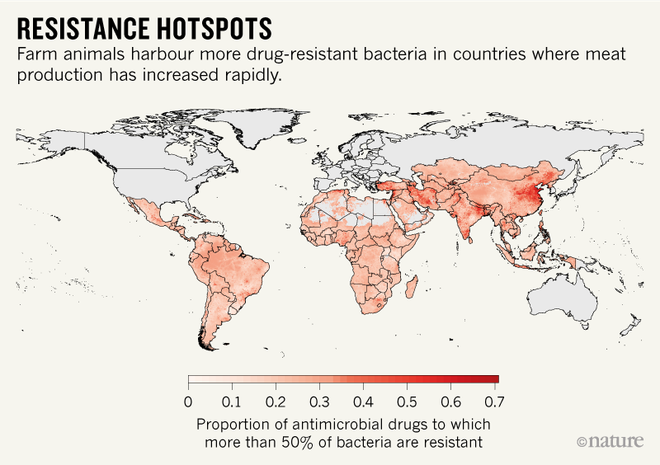 Báo động đỏ tình trạng kháng kháng sinh trên động vật ở Ấn Độ và Trung Quốc - Ảnh 2.