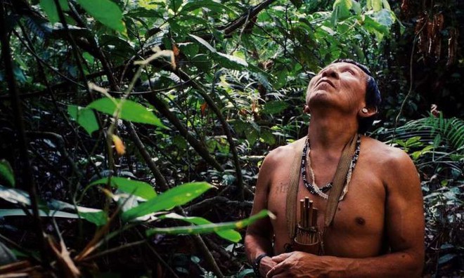 Tù trưởng bản địa gần rừng Amazon và thông điệp cay đắng: Rồi các anh sẽ chìm trong sợ hãi, như cảm giác chúng tôi đang trải qua lúc này - Ảnh 3.
