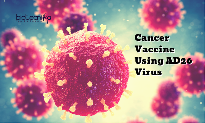 Các nhà khoa học vừa crack được mã code một virus đặc biệt, từ đó họ sẽ tạo ra vắc-xin chống ung thư - Ảnh 1.