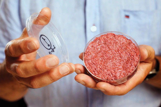 Sản xuất thịt mà không cần sát sinh: Khoa học đã thực hiện được thành công điều không tưởng này - Ảnh 1.