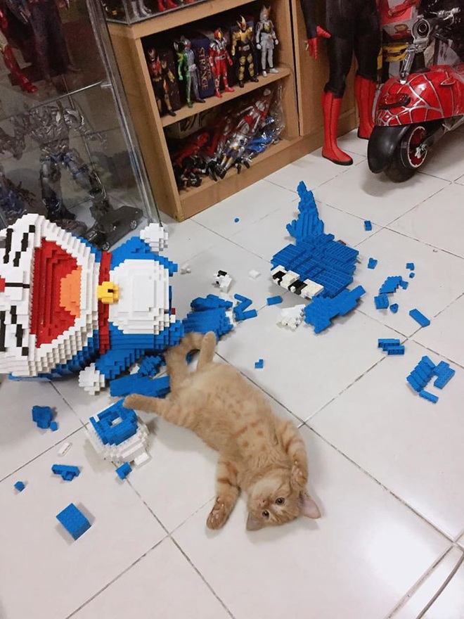 Thanh niên hì hục cả tuần lắp mô hình 4.500 miếng Lego hình Doraemon, chưa kịp giao khách thì bị mèo phá tan tành trong 1 nốt nhạc - Ảnh 4.