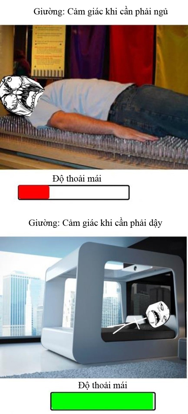 Sự thật 100% 1