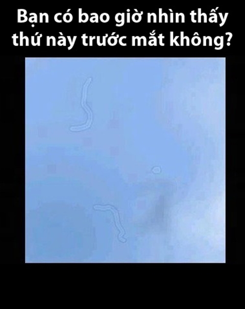 Đ&atilde; bao giờ bạn thấy c&aacute;i n&agrave;y? 1