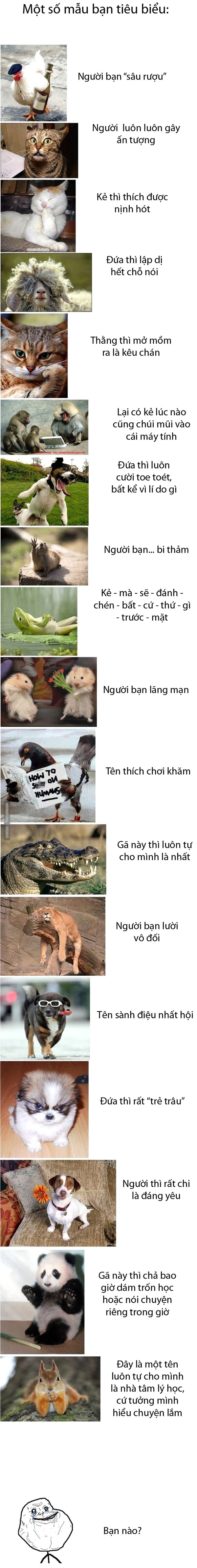 Bạn 1