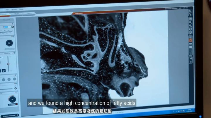 N&atilde;o s&ocirc;i l&ecirc;n, hộp sọ nổ tung, cơ bắp bốc hơi v&agrave; m&ocirc; bị thủy tinh h&oacute;a, khoảnh khắc bị n&uacute;i lửa hủy diệt c&ograve;n kinh ho&agrave;ng hơn địa ngục - Ảnh 20.