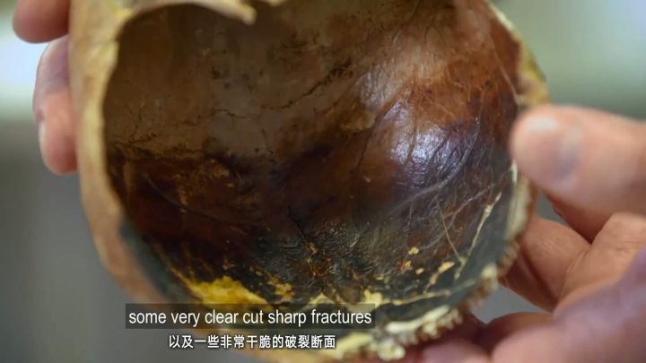 N&atilde;o s&ocirc;i l&ecirc;n, hộp sọ nổ tung, cơ bắp bốc hơi v&agrave; m&ocirc; bị thủy tinh h&oacute;a, khoảnh khắc bị n&uacute;i lửa hủy diệt c&ograve;n kinh ho&agrave;ng hơn địa ngục - Ảnh 16.