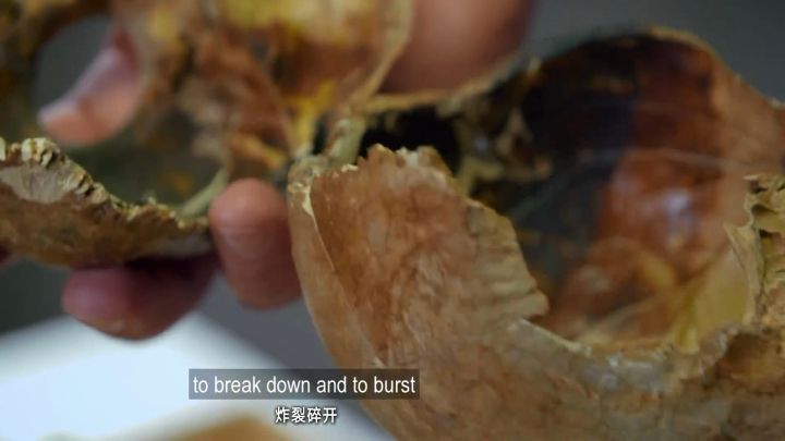 N&atilde;o s&ocirc;i l&ecirc;n, hộp sọ nổ tung, cơ bắp bốc hơi v&agrave; m&ocirc; bị thủy tinh h&oacute;a, khoảnh khắc bị n&uacute;i lửa hủy diệt c&ograve;n kinh ho&agrave;ng hơn địa ngục - Ảnh 17.