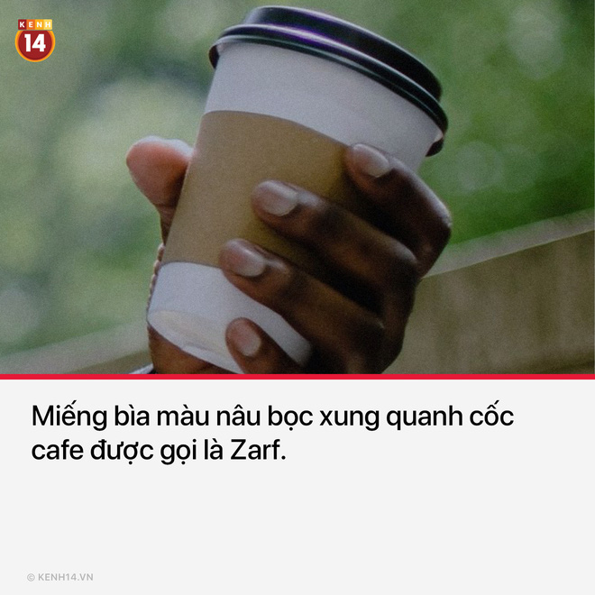Tôi cứ tưởng cái này gọi là bọc cafe thôi ấy chứ