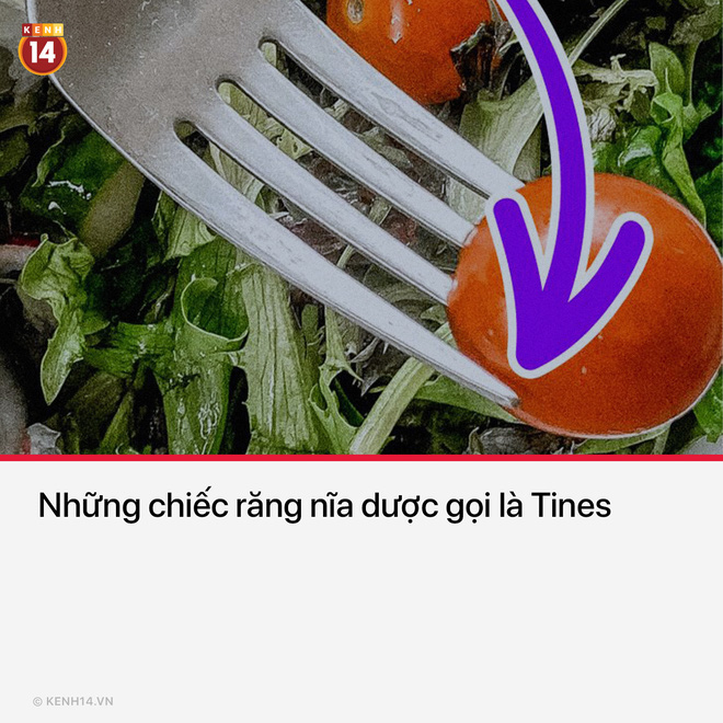 Ôi những từ vựng chưa bao giờ làm tôi hết đau đầu