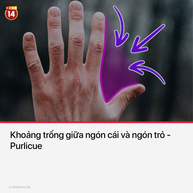 Lại còn có danh từ riêng cho cái này nữa