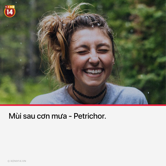 Thế thì Petrichor có mùi thật tuyệt vời