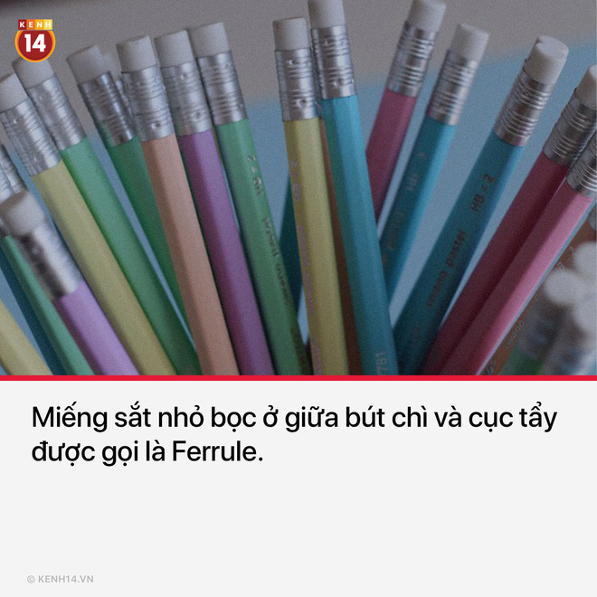 Ôi tuổi thơ đi học của tôi...