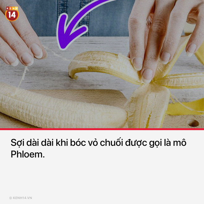 Nghe hợp lý đó