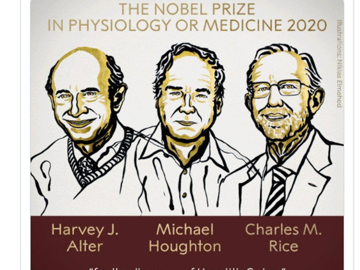 Giải Nobel Y học 2020 vừa được trao cho khám phá về virus viêm gan C đã cứu sống hàng triệu người - Ảnh 1.