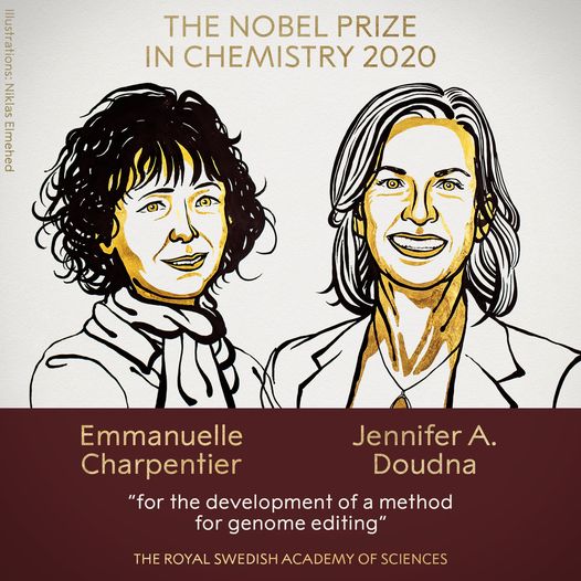 Nobel Hóa học 2020 gọi tên hai nữ khoa học gia phát minh công nghệ chỉnh sửa gen CRISPR/Cas9 - Ảnh 1. Nobel Hóa học 2020 gọi tên hai nữ khoa học gia phát minh công nghệ chỉnh sửa gen CRISPR/Cas9 - Ảnh 1.