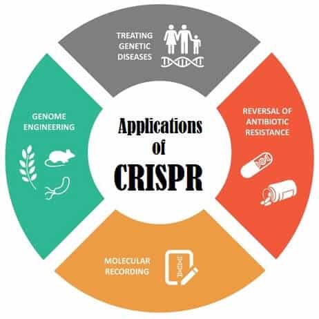 Một kỹ sư CRISPR giải thích tại sao công nghệ chỉnh sửa gen này xứng đáng đoạt giải Nobel Hóa học năm nay - Ảnh 5. Một kỹ sư CRISPR giải thích tại sao công nghệ chỉnh sửa gen này xứng đáng đoạt giải Nobel Hóa học năm nay - Ảnh 5.