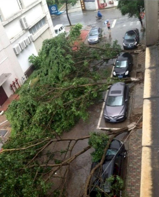 Vỏ quýt dày có móng tay nhọn: Những màn trả đũa kẻ đỗ xe vô ý thức cực gắt đảm bảo sẽ khiến không ai dám tái phạm lần sau - Ảnh 12.