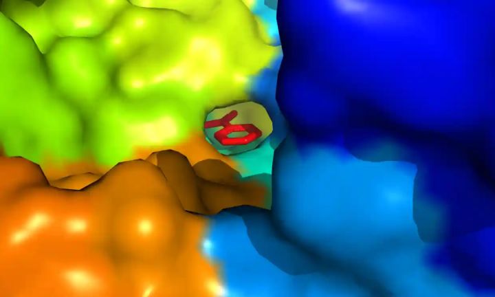 Các nhà khoa học đã tổng hợp được một loại siêu enzym mới có khả năng phân hủy nhựa gấp 6 lần - Ảnh 1.