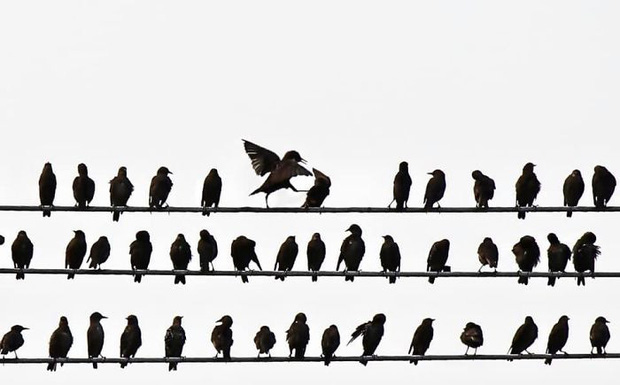 Tái hiện cảnh phim nối tiếng trong bộ phim 300