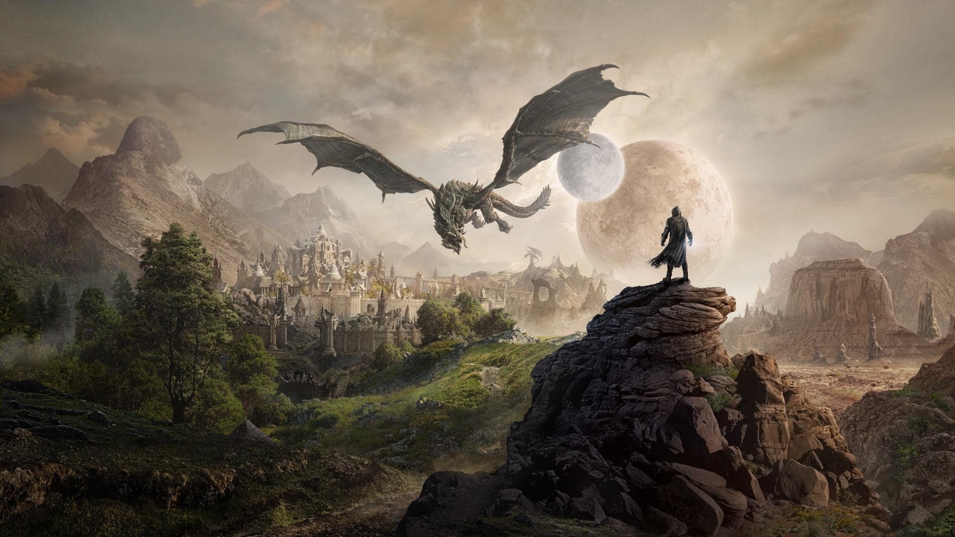 Tin đồn: Netflix sắp sản xuất series chuyển thể từ The Elder Scrolls với quy mô lớn như The Witcher - Ảnh 2.