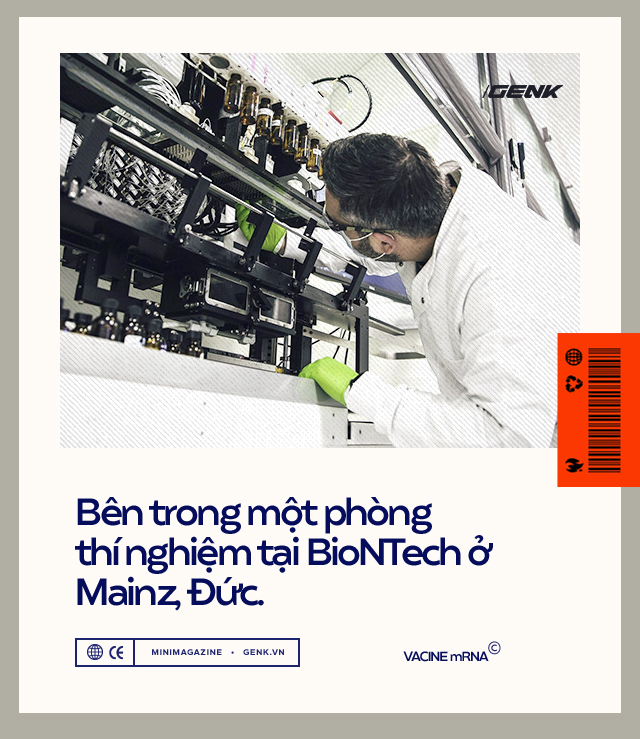 Vắc-xin mRNA: Từ sau Bức Màn Sắt Thế chiến II đến khoảnh khắc cứu thế giới khỏi COVID-19 - Ảnh 1. Vắc-xin mRNA: Từ sau Bức Màn Sắt Thế chiến II đến khoảnh khắc cứu thế giới khỏi COVID-19 - Ảnh 1.