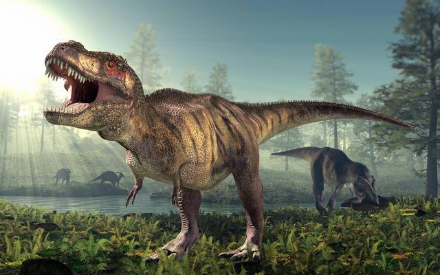Nếu con người cao 10 mét thì chúng ta có thể tóm sống Tyrannosaurus Rex bằng tay không? - Ảnh 3.