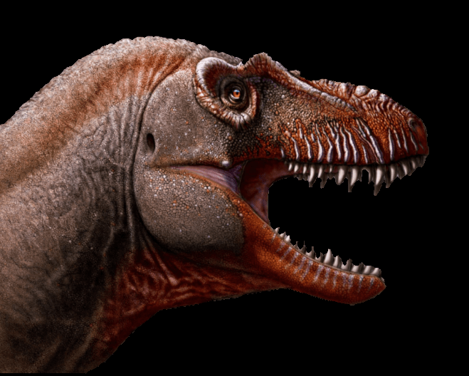 Phát hiện loài khủng long ăn thịt mệnh danh khủng long thần chết sống cách đây 79,5 triệu năm - Ảnh 1.