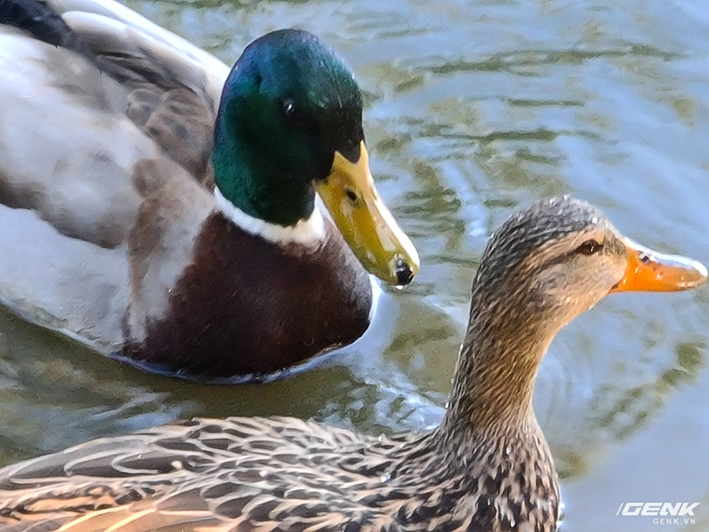 Trải nghiệm nhanh camera trên Galaxy S20 Ultra: phần cứng hay nhưng phần mềm mới nhiều cái mới thú vị - Ảnh 3. Trải nghiệm nhanh camera trên Galaxy S20 Ultra: phần cứng hay nhưng phần mềm mới nhiều cái mới thú vị - Ảnh 3.