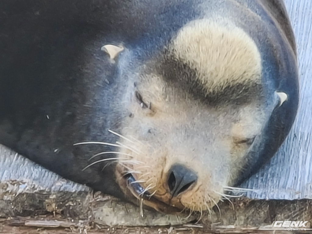 Thử zoom 100X với camera tr&ecirc;n Galaxy S20 Ultra: n&eacute;t tới mức n&agrave;o? - Ảnh 3.