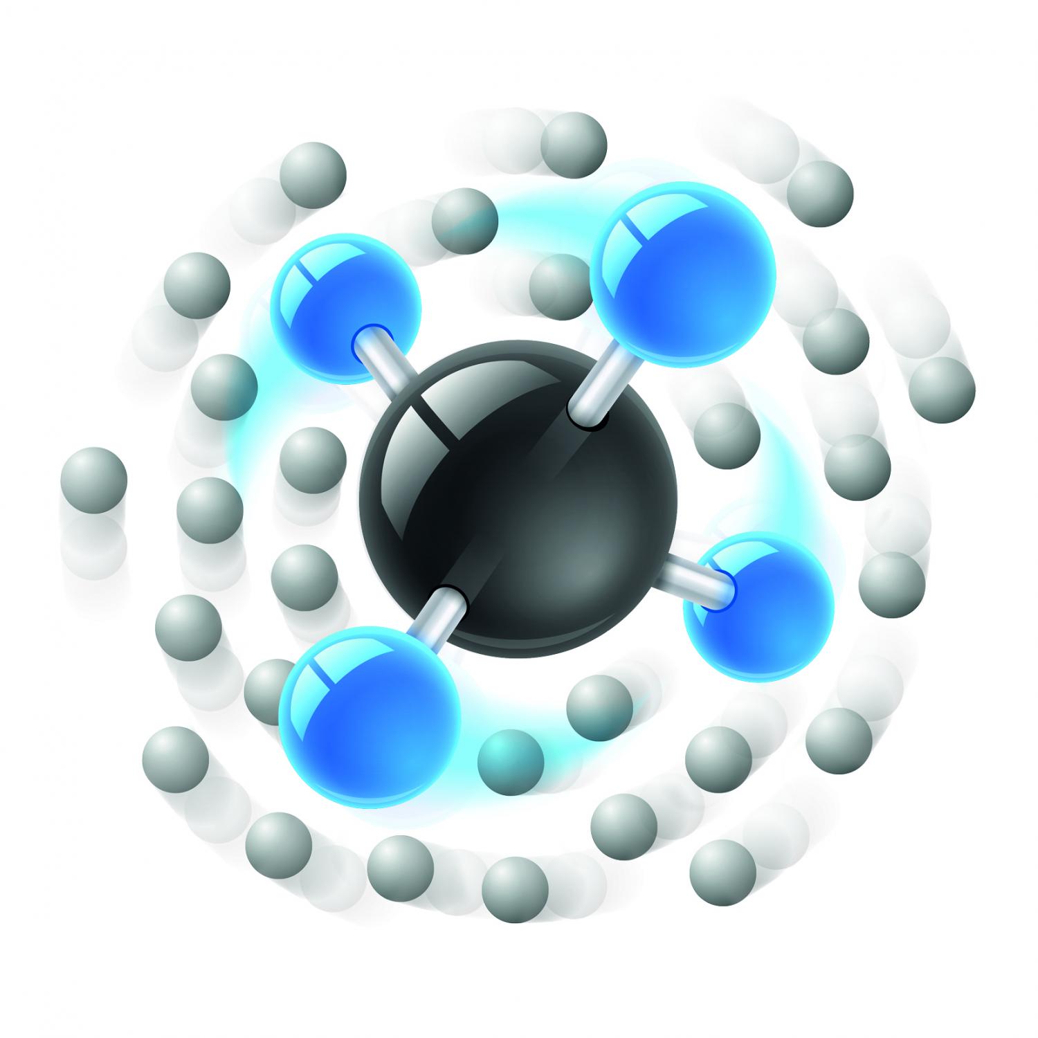 Khoa học t&igrave;m thấy bằng chứng về khả năng bất tử của giả hạt: ch&uacute;ng tự t&aacute;i tạo sau khi đ&atilde; ph&acirc;n r&atilde; - Ảnh 1.