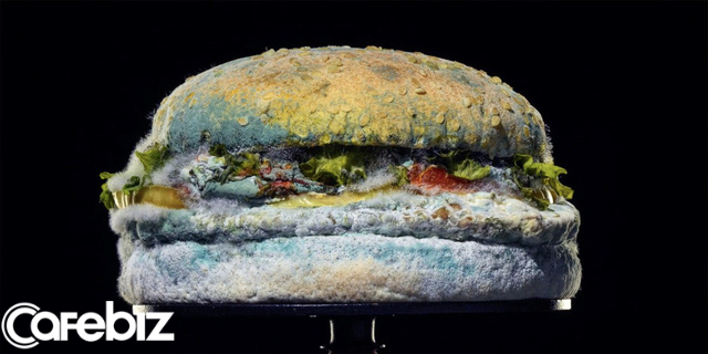 Chiêu trò marketing ngược đời của Burger King: Cho khách xem quá trình chiếc bánh hamburger phân huỷ đến mốc meo - Ảnh 1.