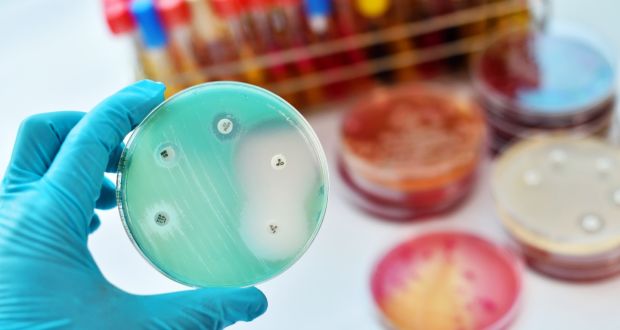 Trí tuệ nhân tạo vừa tìm ra một loại siêu kháng sinh mới, có thể tiêu diệt vi khuẩn kháng kháng sinh nguy hiểm nhất - Ảnh 1.