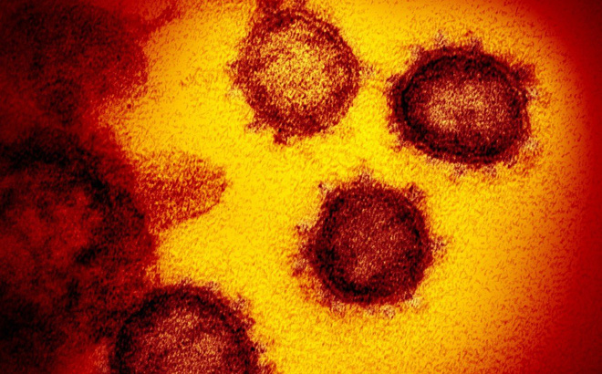  SCMP: Phát hiện SARS-COV-2 có đột biến gen giống HIV và Ebola, hứa hẹn tìm ra cách chữa trị hiệu quả - Ảnh 1.